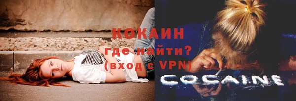 дживик Балахна