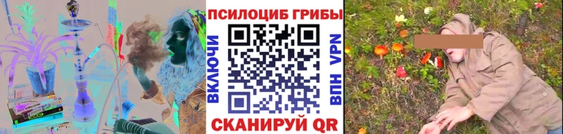 Галлюциногенные грибы Psilocybine cubensis  blacksprut ССЫЛКА  Щигры  закладки 